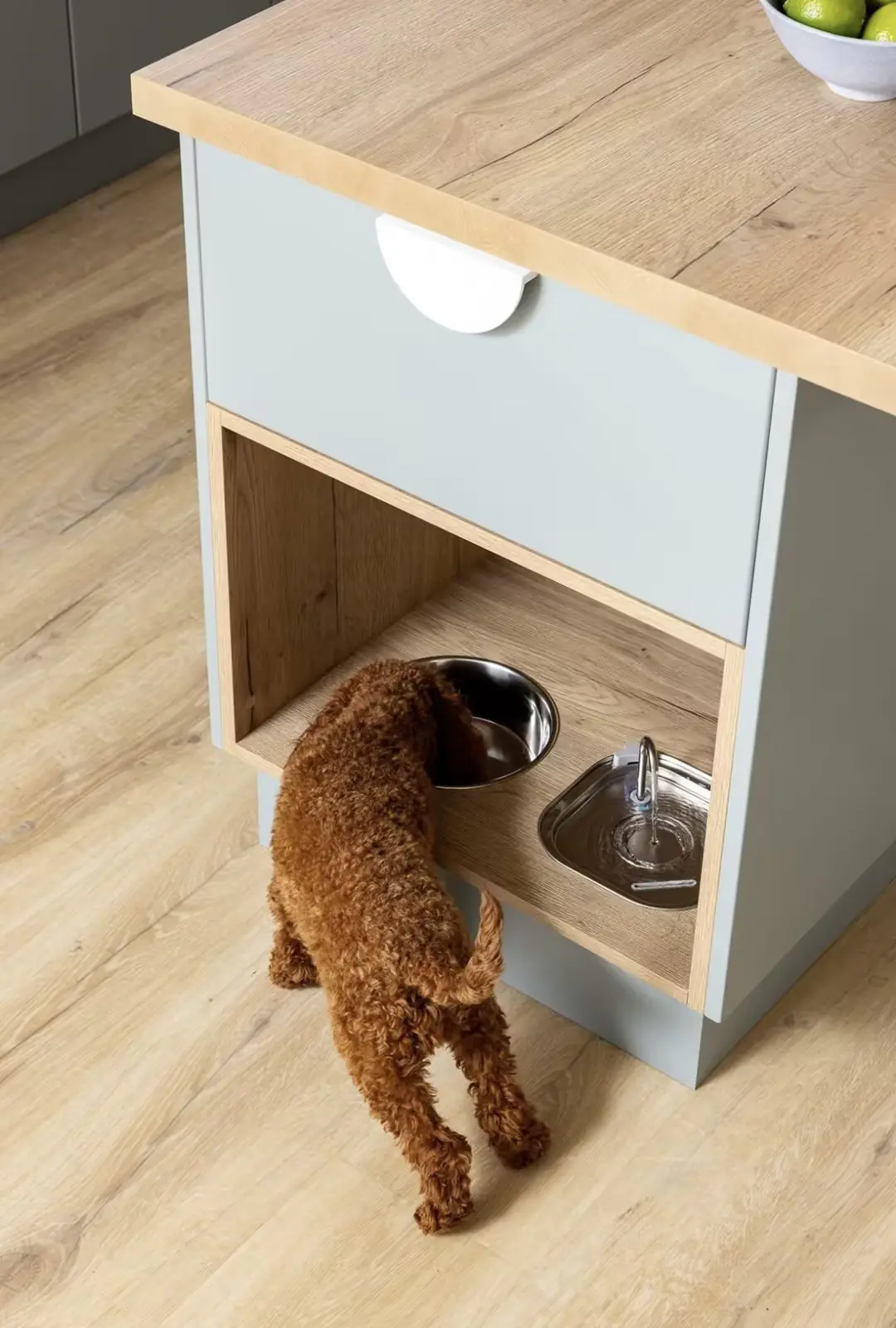pet friendly living room furniture
