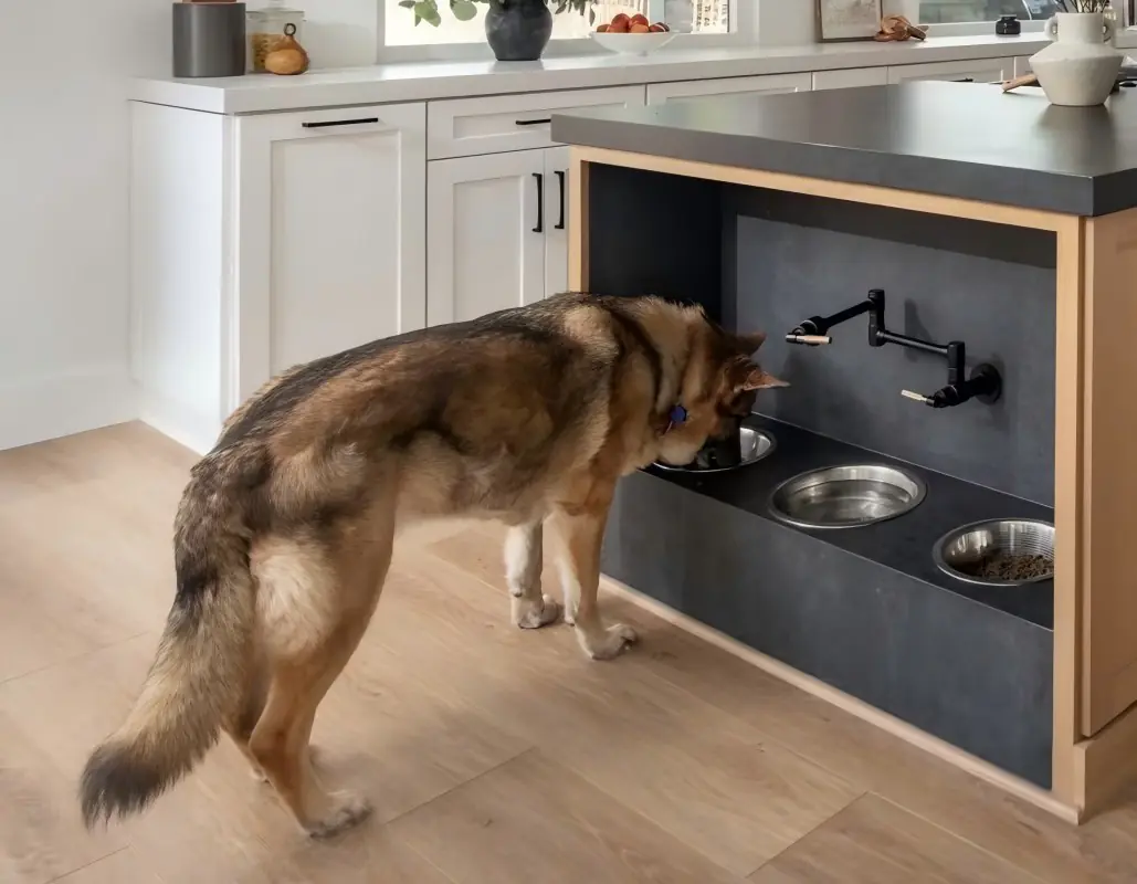 Read more about the article Pet Friendly Interior Design with Built-In Custom Pet Furniture Solutions